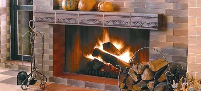 Дрова для камина какие лучше?