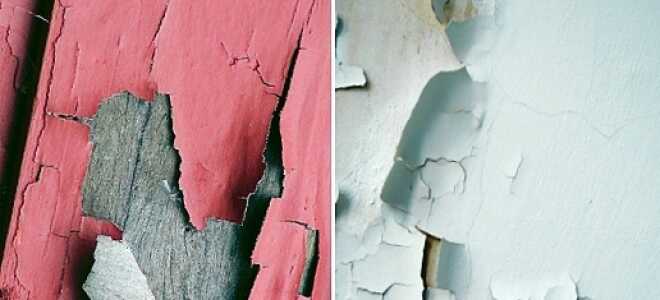 Как удалить старую масляную краску со стен, пола, дверей, деревянных рам