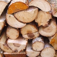 Дрова из ольхи